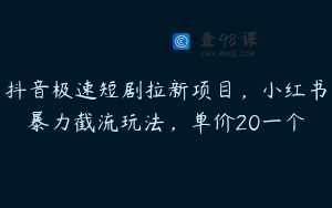 抖音极速短剧拉新项目，小红书暴力截流玩法，单价20一个
