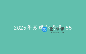 2025年张辉职场课-55