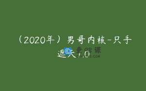 (2020年)男哥内核-只手遮天1.0