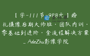 【学-111节-988元】婚礼摄像后期大师班·团队内训·零基础到进阶·全流程解决方案_AdeZhu影像学院