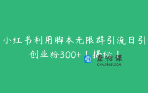 小红书利用脚本无限群引流日引创业粉300+【揭秘】