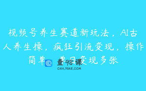 视频号养生赛道新玩法，AI古人养生操，疯狂引流变现，操作简单，单日变现多张