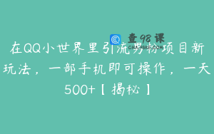 在QQ小世界里引流男粉项目新玩法，一部手机即可操作，一天500+【揭秘】
