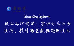 ShardingSphere 核心原理精讲，掌握分库分表技巧，提升海量数据处理技术