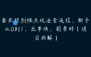 番茄短剧锚点玩法全流程，新手从0到1，出单快，前景好【项目拆解】