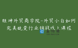 旺坤外贸商学院-外贸小白如何完美蜕变行业销冠线上课程