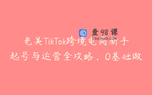 老吴TikTok跨境电商新手起号与运营全攻略，0基础做