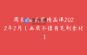 周末iPad头像精品课2022年2月【画质不错有笔刷素材】