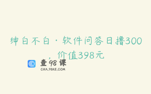 绅白不白·软件问答日撸300，价值398元