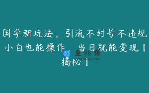 国学新玩法，引流不封号不违规小白也能操作，当日就能变现【揭秘】