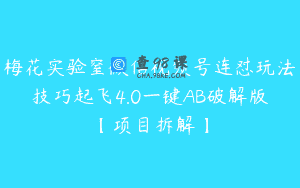梅花实验窒微信视频号连怼玩法技巧起飞4.0一键AB破解版【项目拆解】