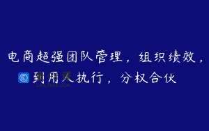 电商超强团队管理,组织绩效,到用人执行,分权合伙
