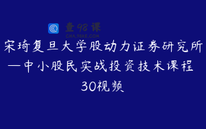 宋琦复旦大学股动力证券研究所—中小股民实战投资技术课程 30视频