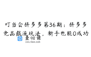 叮当会拼多多第36期：拼多多竞品截流玩法，新手也能0成功