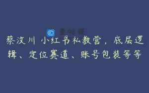蔡汶川・小红书私教营，底层逻辑、定位赛道、账号包装等等