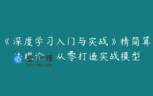 《深度学习入门与实战》精简算法理论，从零打造实战模型