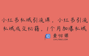 小红书私域引流课，小红书引流私域成交秘籍，1个月加爆私域！
