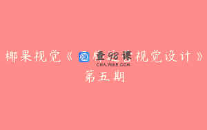 椰果视觉《品牌运营视觉设计》第五期