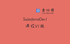 SalesforceDev1课程V1版