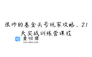 很帅的基金头号玩家攻略，21天实战训练营课程