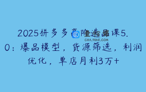 2025拼多多高阶选品课5.0：爆品模型，货源筛选，利润优化，单店月利3万+