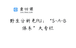 野生分析老PU：“S-A-B体系”大专栏