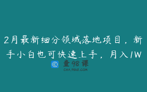 2月最新细分领域落地项目，新手小白也可快速上手，月入1W