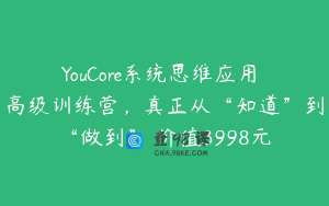 YouCore系统思维应用 高级训练营，真正从“知道”到“做到” 价值3998元