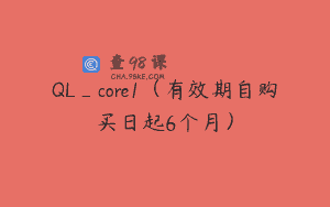 QL_core1（有效期自购买日起6个月）
