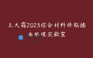 王大霜2023综合材料拼贴插画肌理实验室