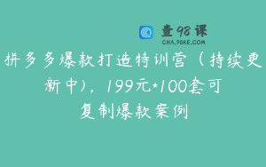 拼多多爆款打造特训营(持续更新中),199元*100套可复制爆款案例
