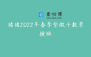 猪猪2022年春季紫微斗数亲授班