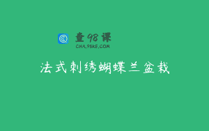 法式刺绣蝴蝶兰盆栽