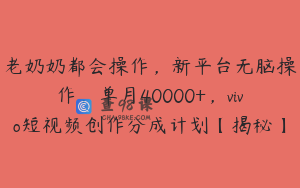 老奶奶都会操作,新平台无脑操作,单月40000+,vivo短视频创作分成计划【揭秘】