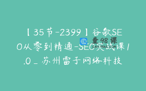 【35节-2399】谷歌SEO从零到精通-SEO实战课1.0_苏州雷子网络科技