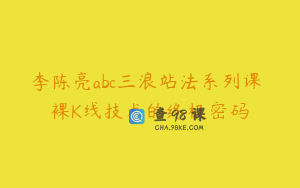 李陈亮abc三浪站法系列课 裸K线技术的终极密码