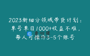 2023新细分领域带货计划：单号单日1000+收益不难，每人可操作3-5个账号
