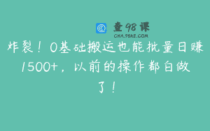 炸裂！0基础搬运也能批量日赚1500+，以前的操作都白做了！