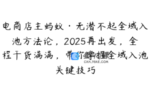 电商店主蚂蚁·无潜不起全域入池方法论，2025再出发，全程干货满满，带你掌握全域入池关键技巧