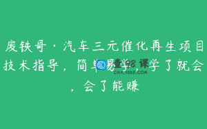 废铁哥·汽车三元催化再生项目技术指导,简单易学,学了就会,会了能赚