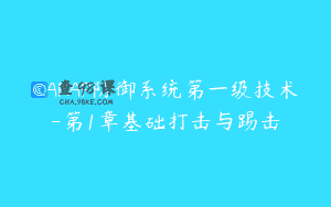 KAPAP防御系统第一级技术-第1章基础打击与踢击