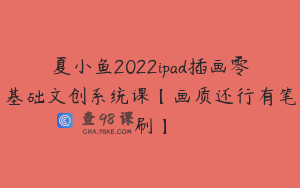夏小鱼2022ipad插画零基础文创系统课【画质还行有笔刷】