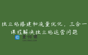 独立站搭建和流量优化，三合一课程解决独立站运营问题