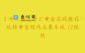 【外汇通】外汇黄金实战教程-玩转黄金短线交易系统 12视频