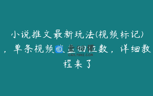 小说推文最新玩法(视频标记)，单条视频收益四位数，详细教程来了