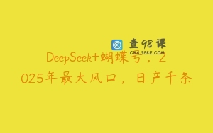 DeepSeek+蝴蝶号，2025年最大风口，日产千条
