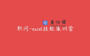 职问-excel技能集训营