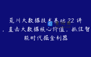 荒川大数据技术基础 22 讲,直击大数据核心价值,抓住智能时代掘金利器
