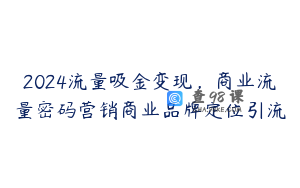 2024流量吸金变现，商业流量密码营销商业品牌定位引流
