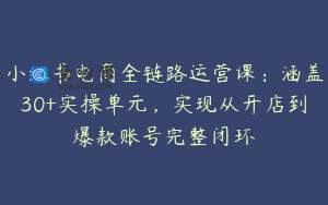 小红书电商全链路运营课：涵盖30+实操单元，实现从开店到爆款账号完整闭环